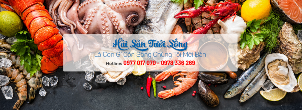 CUNG CẤP CÁ TƯƠI SỐNG NHÀ HÀNG TẠI SÀI GÒN | HẢI SẢN KỲ QUANG | 0977 017 070 | VỰA CÁ SÔNG TP HCM