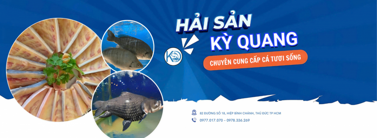 Cung cấp cá tươi sống Tp.Hồ Chí Minh | Cung cấp cá Công ty | vựa cá sông sài gòn | Hải Sản Kỳ Quang