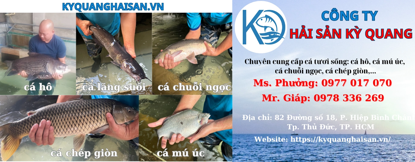 789bet 789bb1.com – Bí Mật Sân Chơi Cá Cược Đỉnh Cao Cho Người Việt
