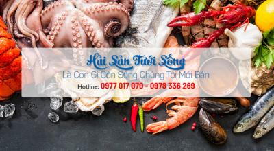 CUNG CẤP CÁ TƯƠI SỐNG NHÀ HÀNG TẠI SÀI GÒN | HẢI SẢN KỲ QUANG | 0977 017 070 | VỰA CÁ SÔNG TP HCM