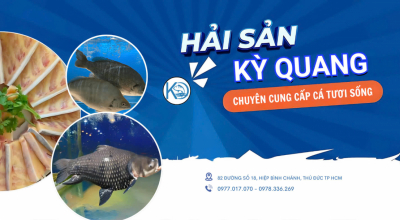 CUNG CẤP CÁ TƯƠI SỐNG NHÀ HÀNG HCM | CUNG CẤP CÁ TƯƠI SỐNG CTY THỦY SẢN | CÁ TƯƠI SỐNG SÀI GÒN