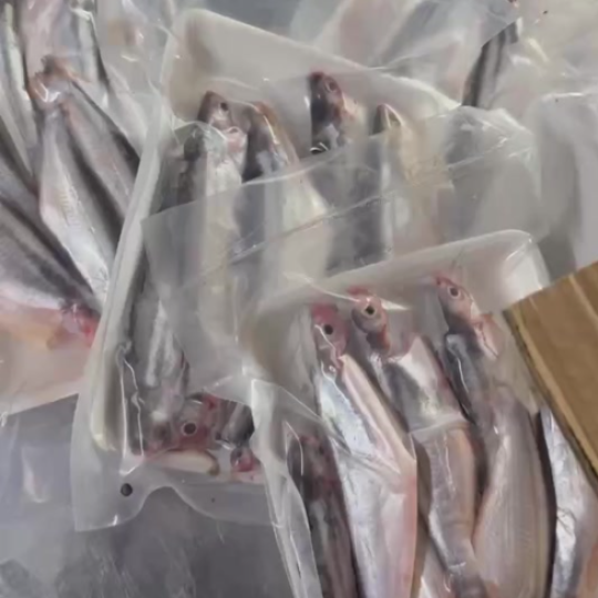 Cá sát chế biến sẵn Sài Gòn