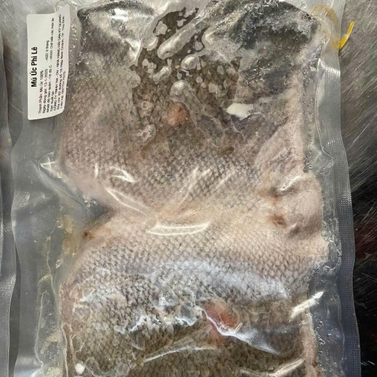 Cá mú Úc phi lê - cá mú úc phi lê Thủ Đức